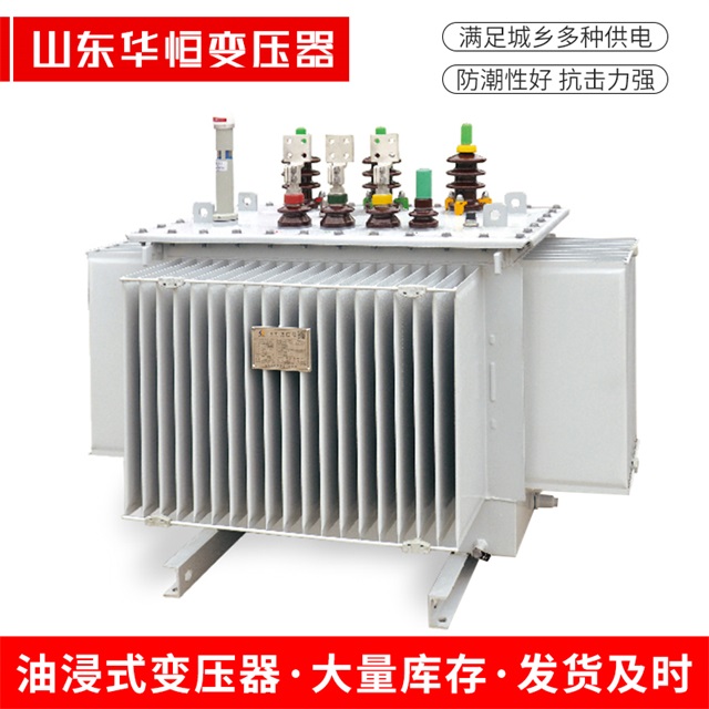 S13-10000/35贡觉贡觉贡觉电力变压器